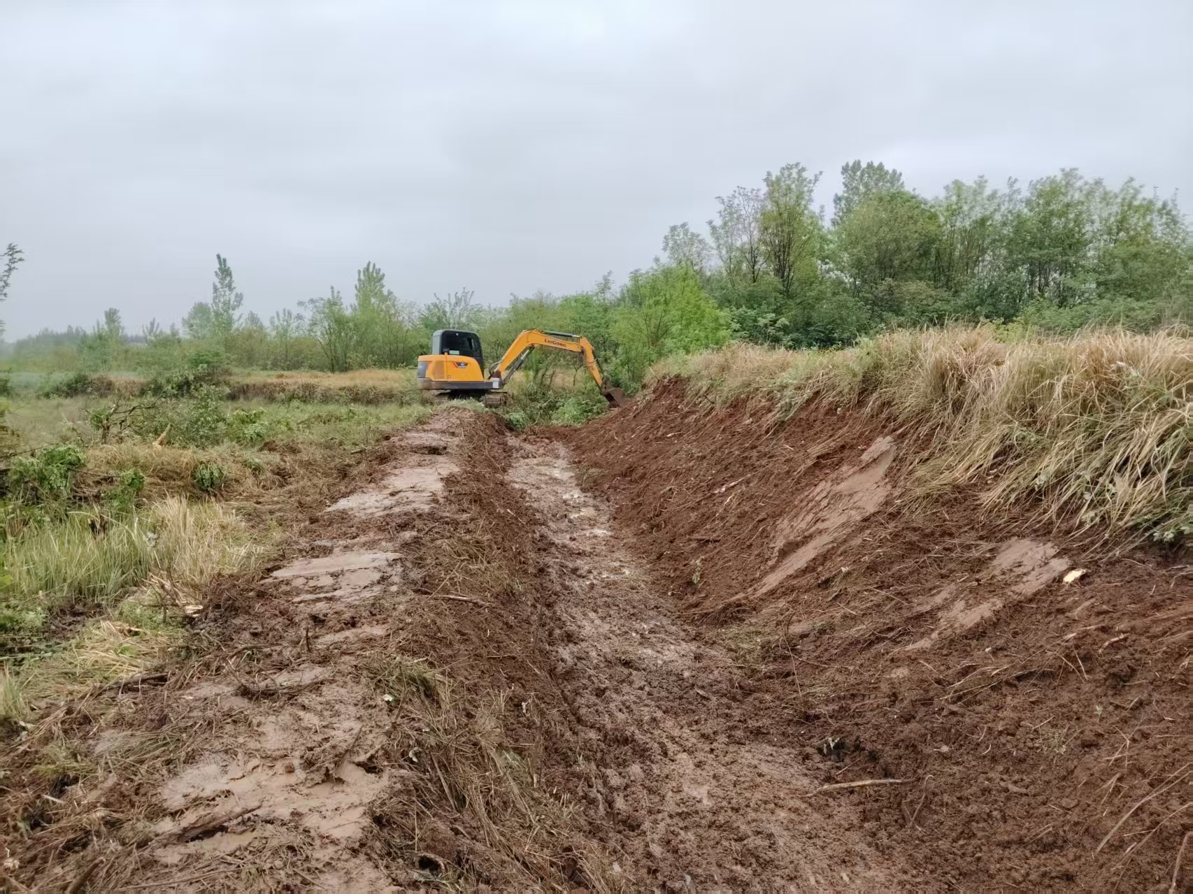 d3fe30eb5704af8b60b154282f375ba5