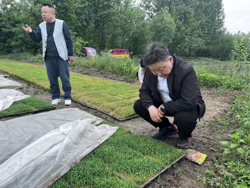 451d23056a3056dc52aa69d52720413e