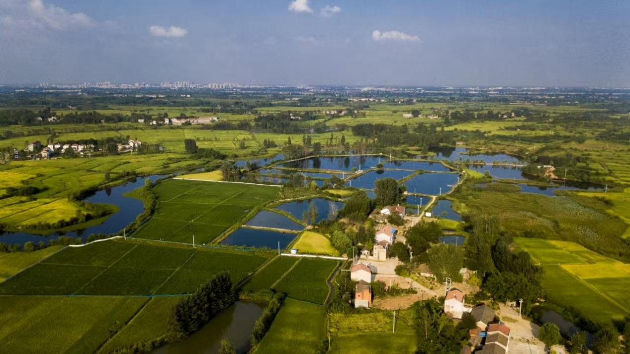 44e211b0df5aeca8f53e4dfc963aadbd