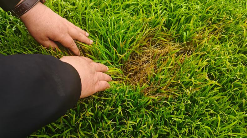 微信图片_20260427130839_505_4