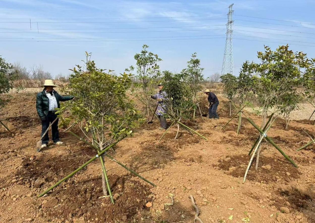 70a8f60338bb311265466bf26e9c31d9