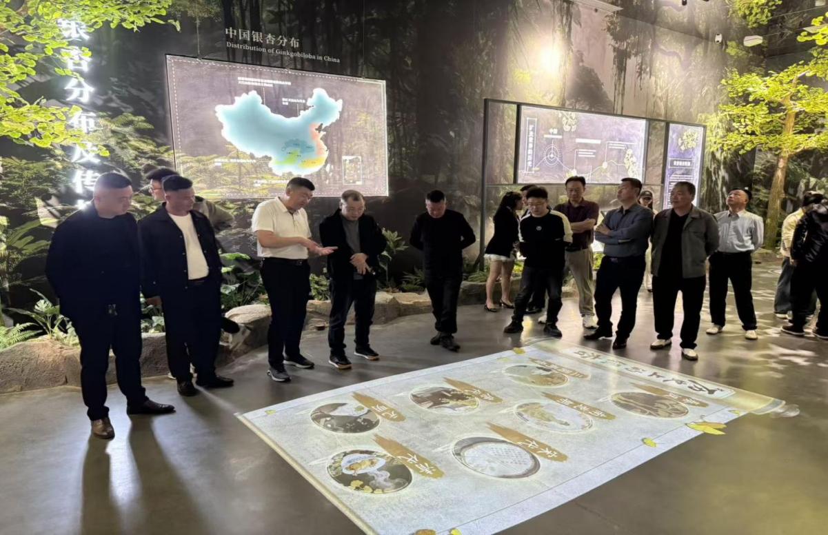 400555a6251a6e4d6f43c175a424bc86