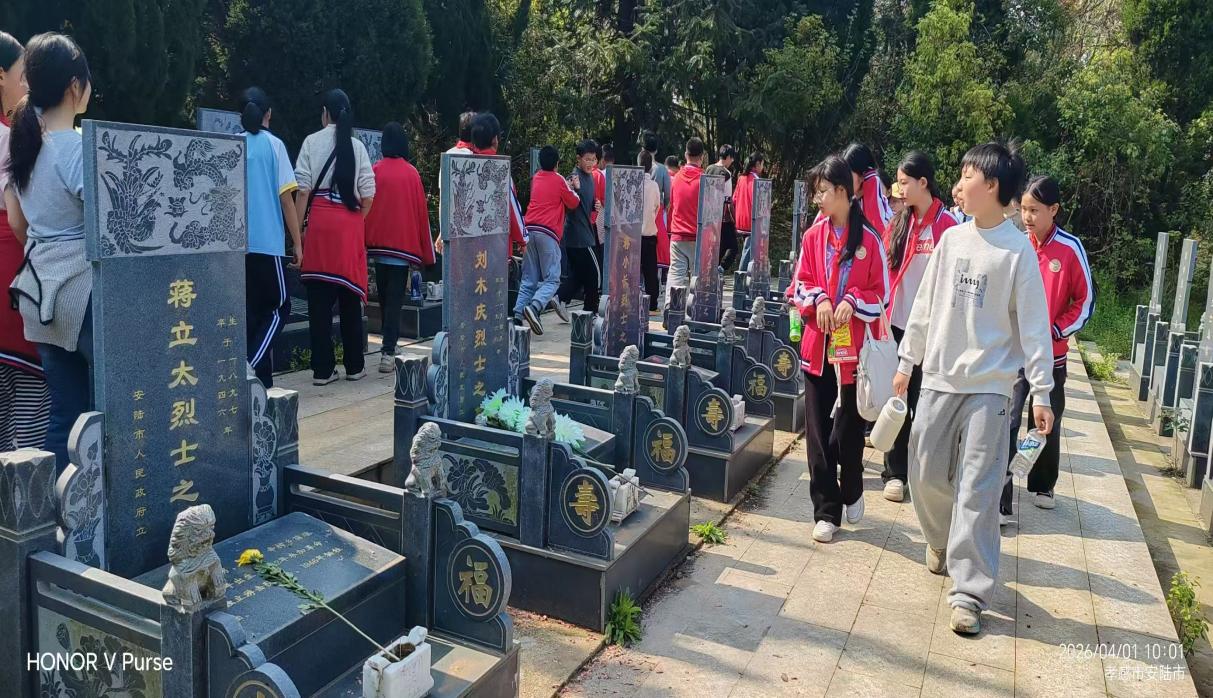 4051a0abc35ef7ffcf04b2cbe1d7af85