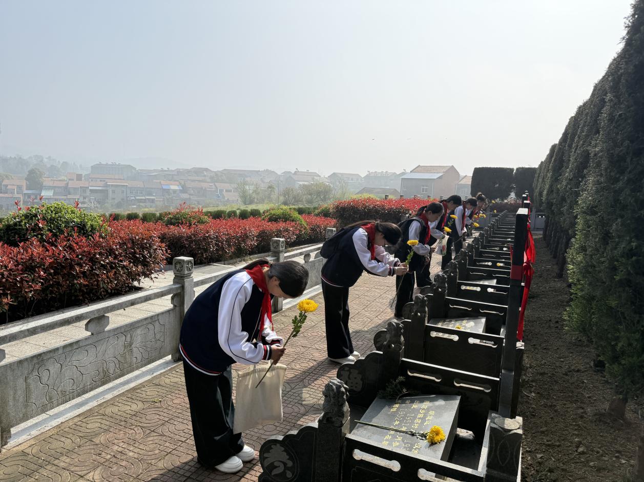 928bc59171af0e365dd5728b3304add