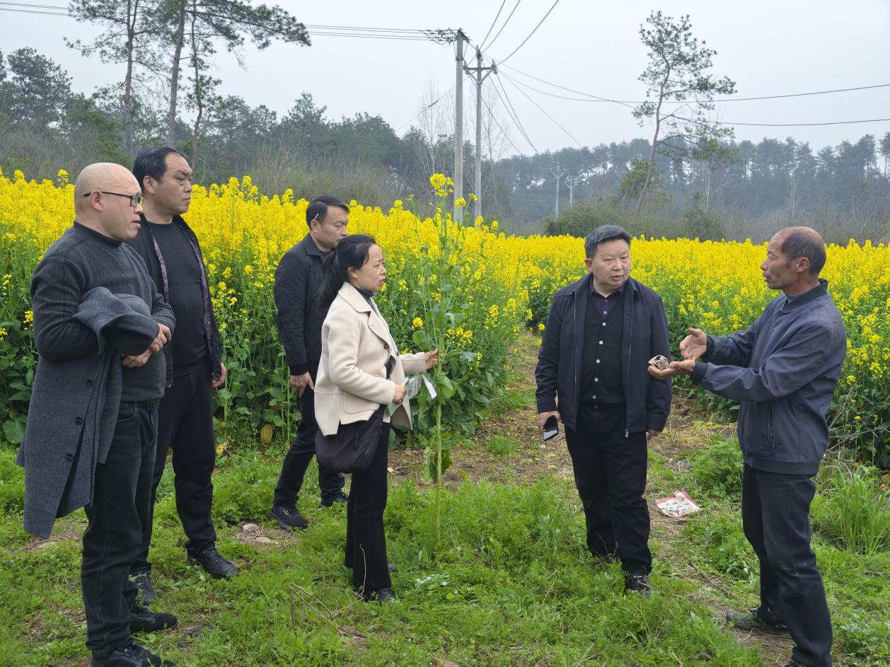 5c5d70a05f19058dcf41ef79a9f3a1fe