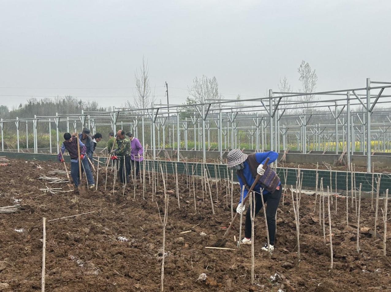 3a15a806d9ea837d23d9c675828ba884