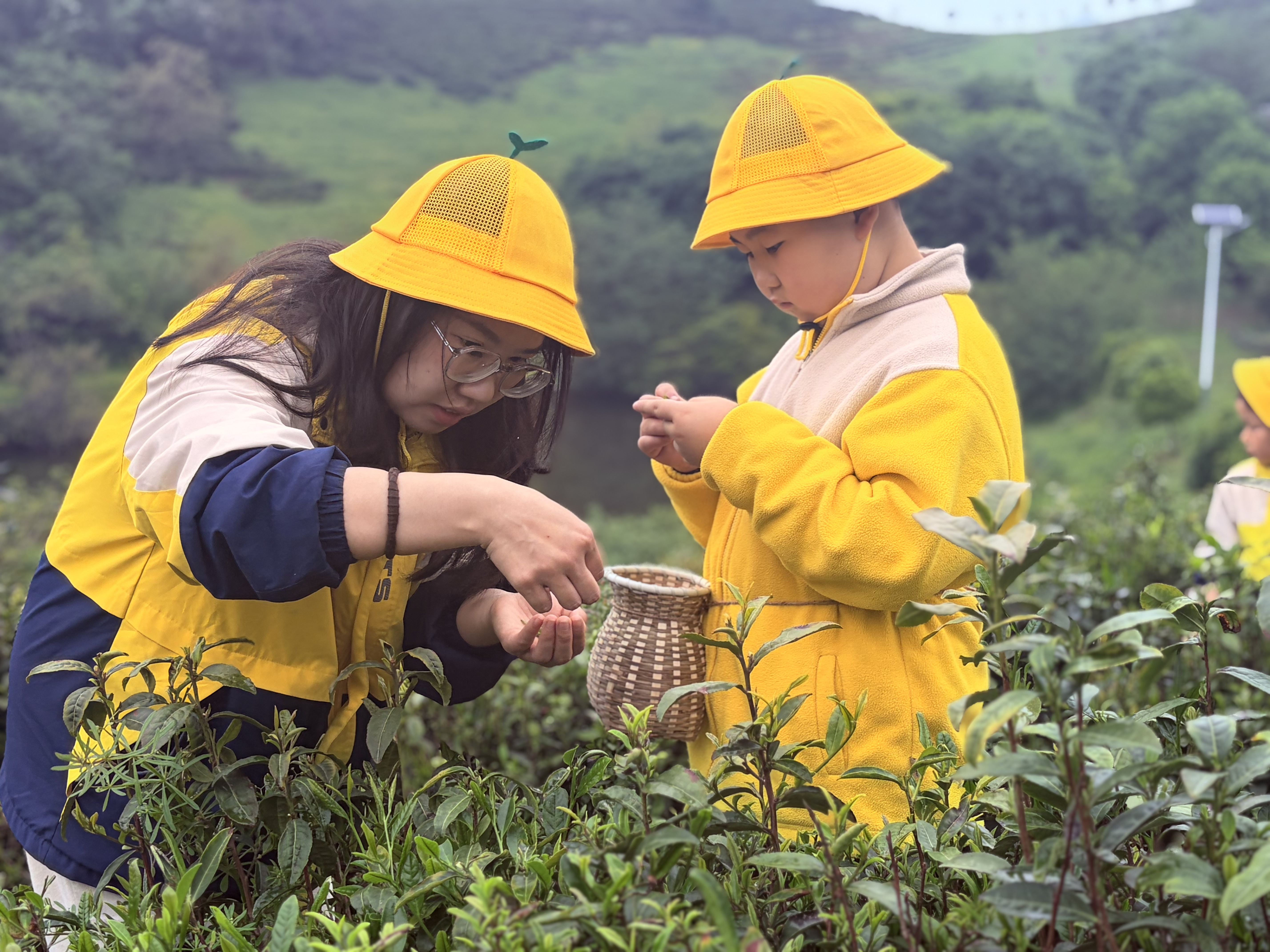 295d38e106324beba88179b39180819f