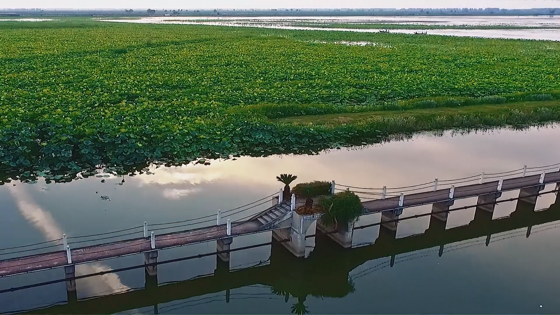 汈汊湖湿地公园图片