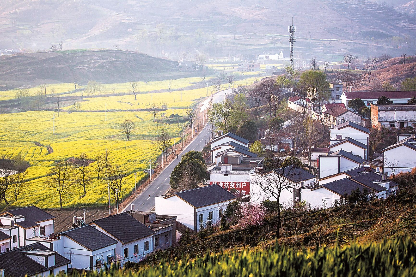 大悟美丽乡村金岭.jpg
