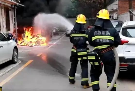 393.jpg 图片