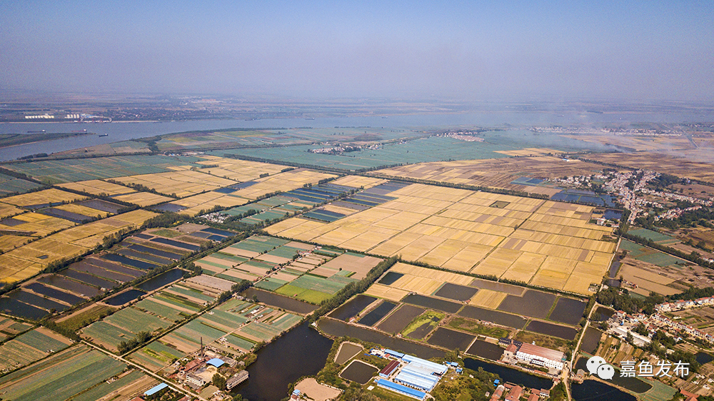簰洲湾港区规划及疏港公路是咸宁市"十四五"重点打造的通江达海的重要