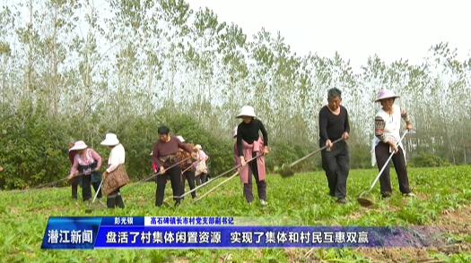 高石碑镇：流转土地种蔬菜 “转”出乡村振兴新路子