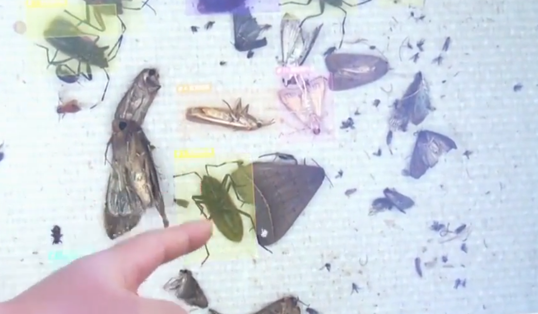 贯彻落实中央经济工作会议精神·一线调研 | 锻造新质生产力 从“科教富矿”到“产业金矿”