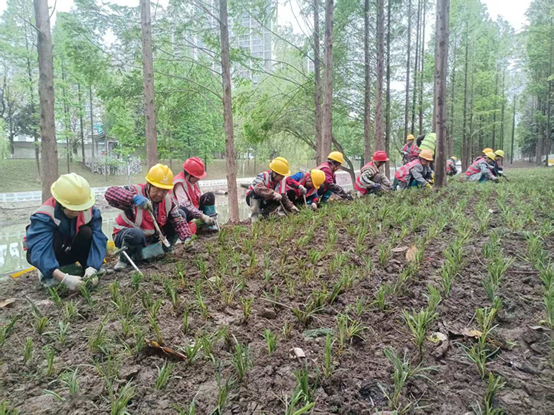 百里长渠综合治理工程稳步收尾