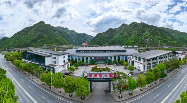 打开一片叶子的无限可能