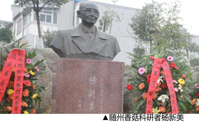 随州 | 被帝王眷顾的小城，成就了中国的香菇之乡