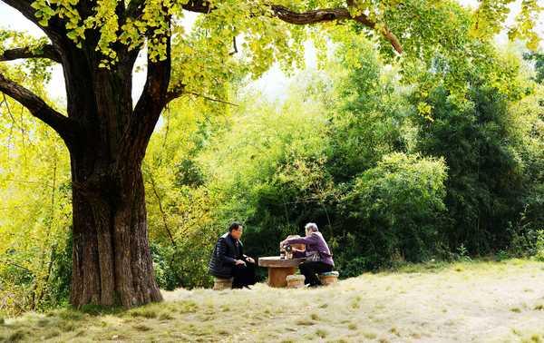 秋 的 色 彩-----千年银杏谷