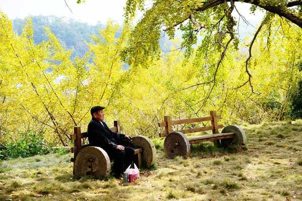 秋 的 色 彩-----千年银杏谷