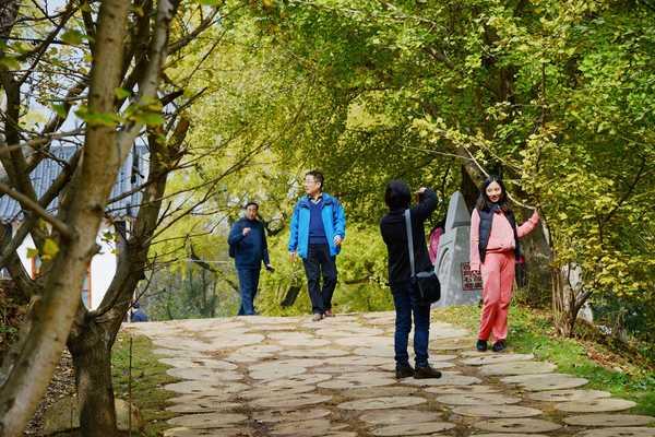 秋 的 色 彩-----千年银杏谷