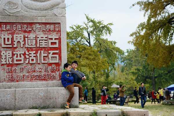 秋 的 色 彩-----千年银杏谷