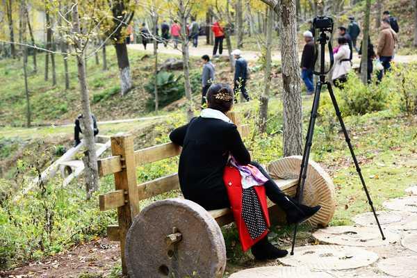 秋 的 色 彩-----千年银杏谷