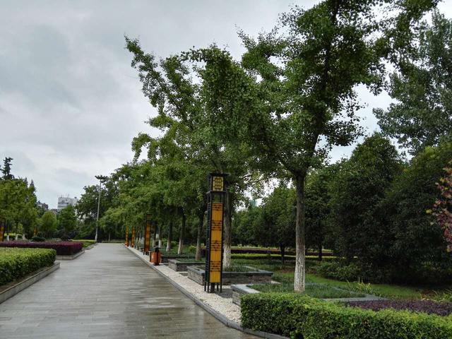 你知道随州千年银杏谷，更该知道它能抗衰老