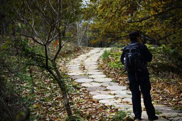 秋 的 色 彩-----千年银杏谷