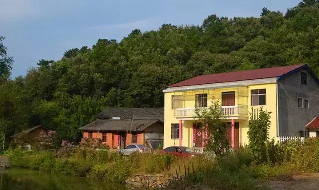 中国千年银杏谷：修缘千年，终遇《聂隐娘》