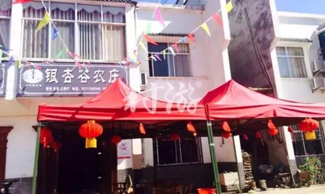 中国千年银杏谷：修缘千年，终遇《聂隐娘》