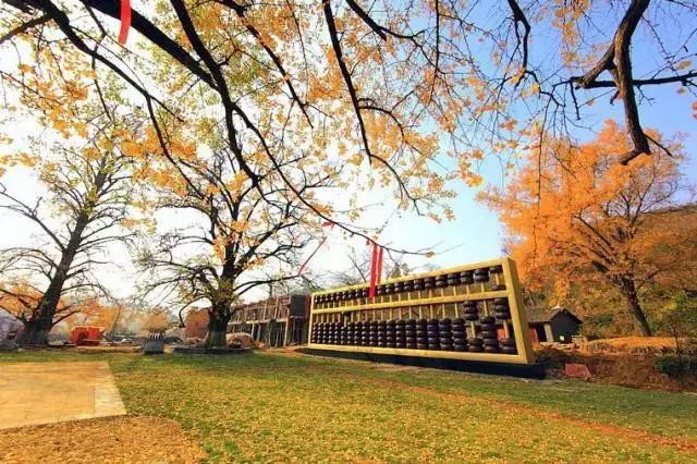 中国千年银杏谷：修缘千年，终遇《聂隐娘》