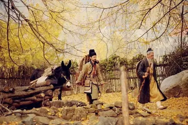 中国千年银杏谷：修缘千年，终遇《聂隐娘》