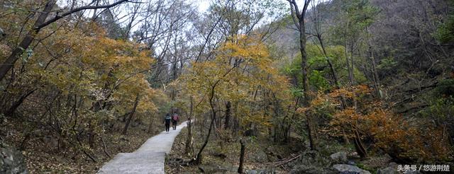 饱览随州最美秋色，摄影名家聚焦金秋&ldquo;叶太美&rdquo;