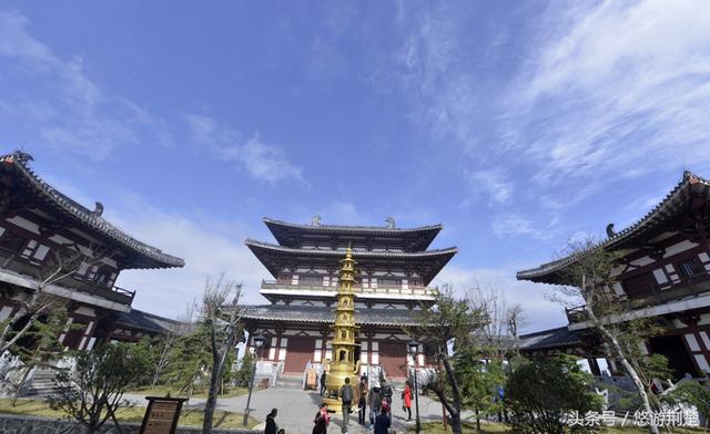 饱览随州最美秋色，摄影名家聚焦金秋&ldquo;叶太美&rdquo;