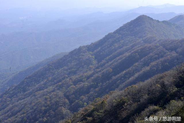饱览随州最美秋色，摄影名家聚焦金秋&ldquo;叶太美&rdquo;