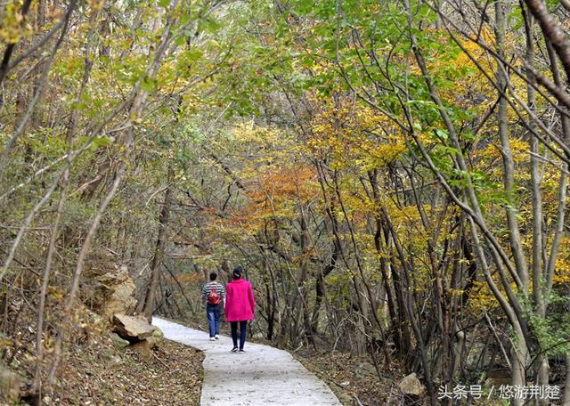 饱览随州最美秋色，摄影名家聚焦金秋&ldquo;叶太美&rdquo;