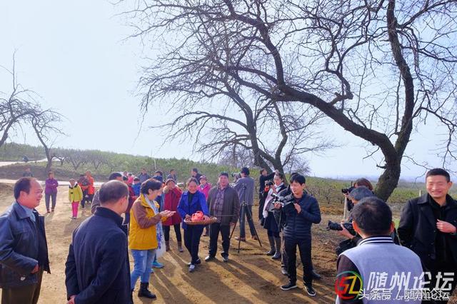 随县积极打造乡村游