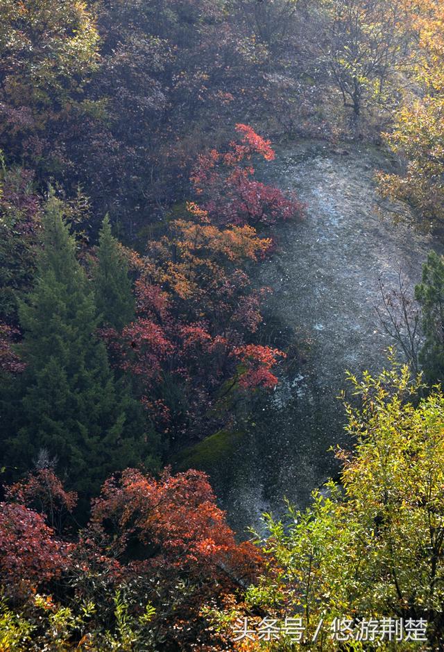 饱览随州最美秋色，摄影名家聚焦金秋&ldquo;叶太美&rdquo;