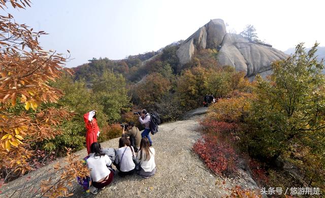 饱览随州最美秋色，摄影名家聚焦金秋&ldquo;叶太美&rdquo;