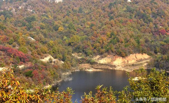 饱览随州最美秋色，摄影名家聚焦金秋&ldquo;叶太美&rdquo;