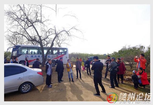 随县积极打造乡村游