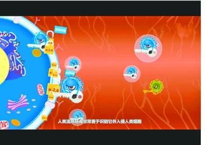 动画揭秘H7N9：禽流感源自一场候鸟的任性旅行