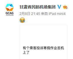 一本小学生寒假作业引发各大航空公司跟贴，套路满满