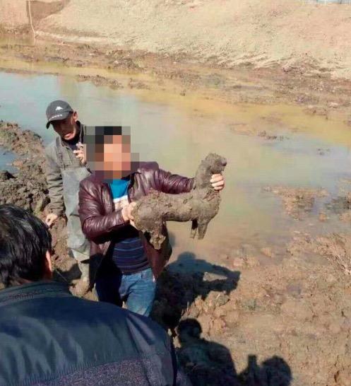 扩建鱼塘挖出古墓 墓内的残肢碎片已交文物局研究