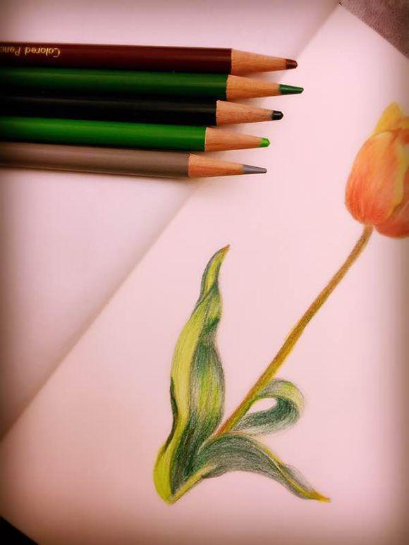 一位90后的姑娘，整天痴迷于花草，结果将生活变成了美丽的诗！