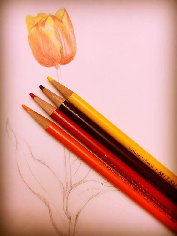 一位90后的姑娘，整天痴迷于花草，结果将生活变成了美丽的诗！