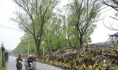 损坏共享单车堆积如山20位师傅修不过来