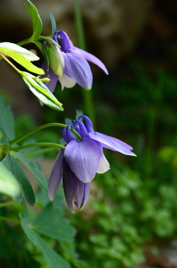 一位90后的姑娘，整天痴迷于花草，结果将生活变成了美丽的诗！
