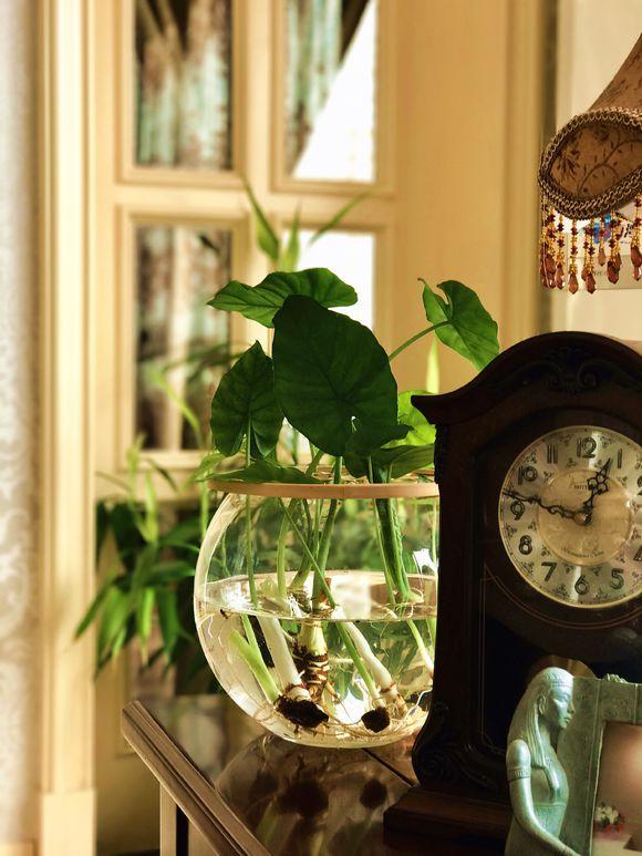 一位90后的姑娘，整天痴迷于花草，结果将生活变成了美丽的诗！