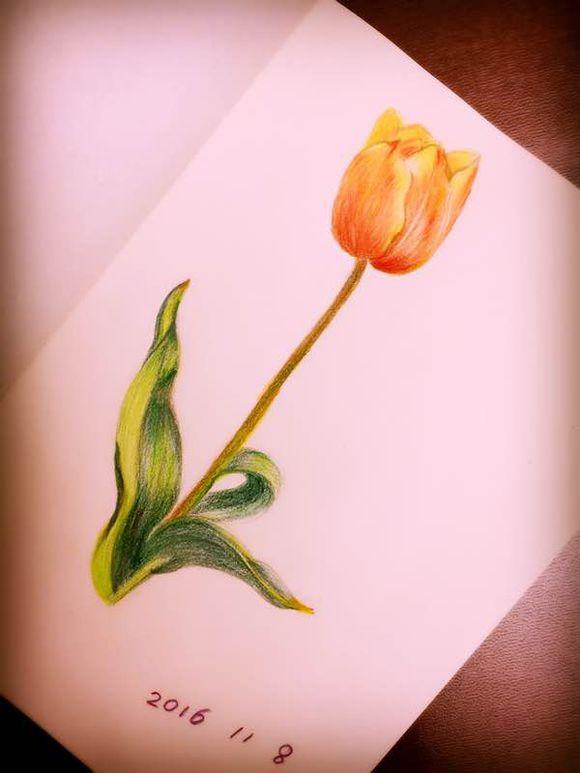 一位90后的姑娘，整天痴迷于花草，结果将生活变成了美丽的诗！