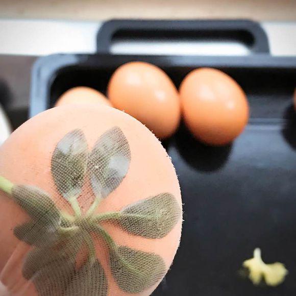 一位90后的姑娘，整天痴迷于花草，结果将生活变成了美丽的诗！